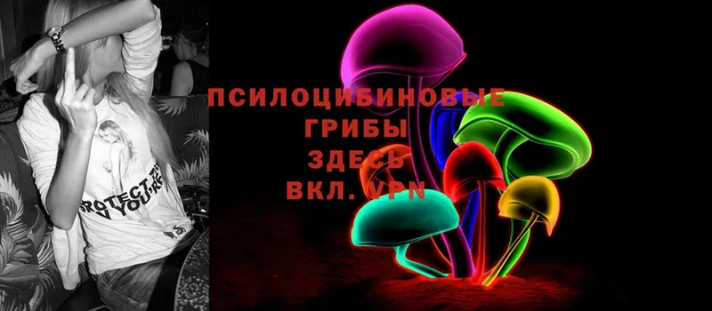 Галлюциногенные грибы Psilocybe  Верхняя Салда 